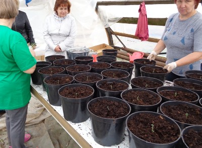 �����������