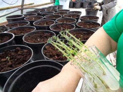 �����������