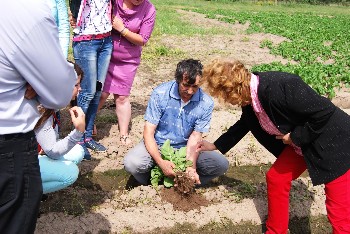 �����������