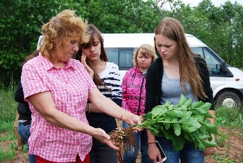 �����������