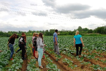 �����������