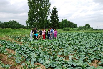 �����������