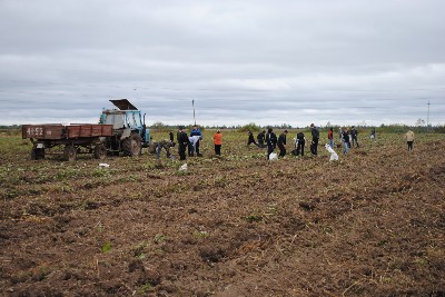 Изображение Изображение