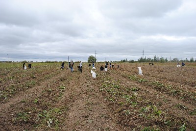 Изображение Изображение