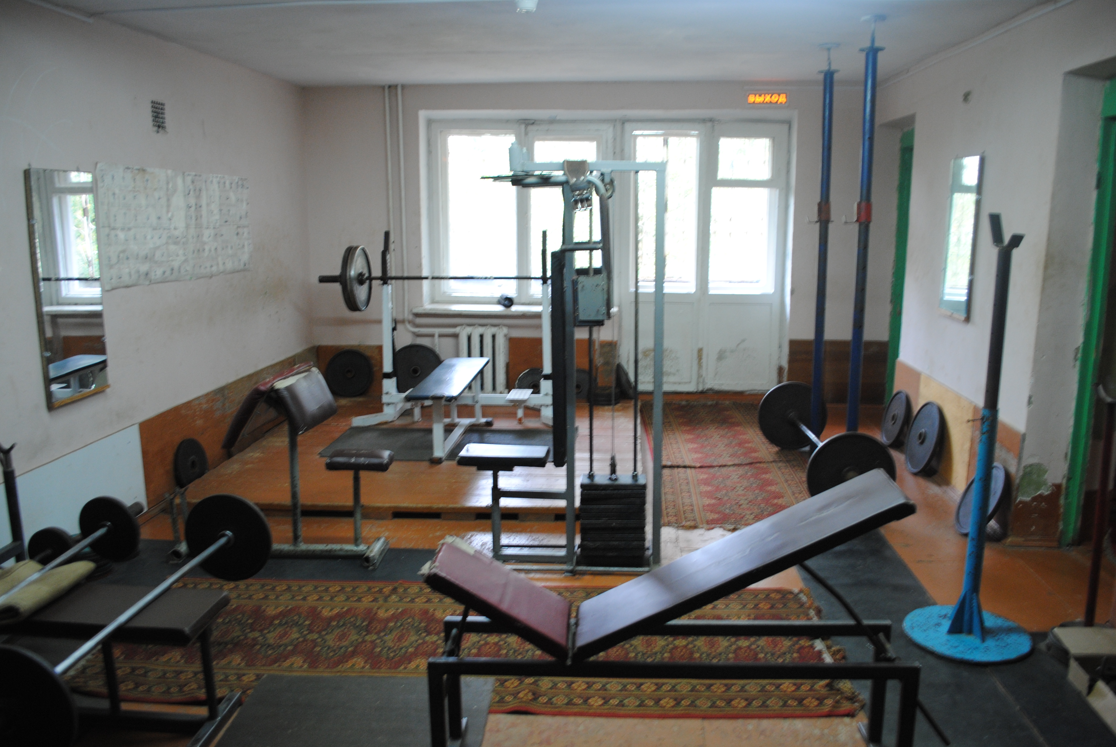 �����������