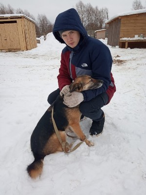 �����������