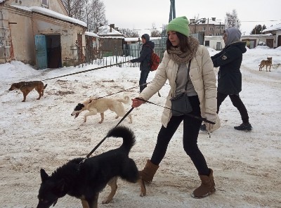 �����������