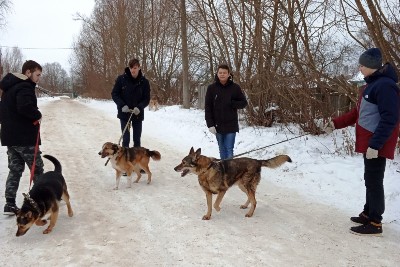 �����������