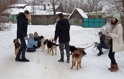 �����������