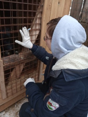 �����������