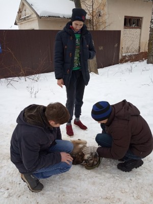 �����������