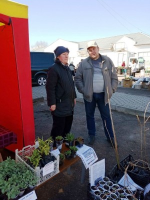 Изображение Изображение