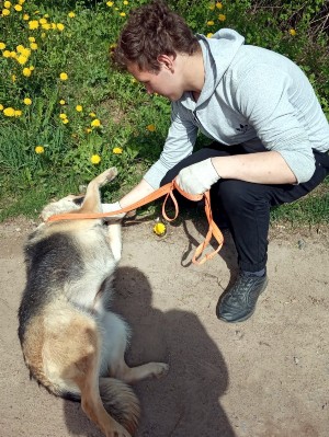 �����������