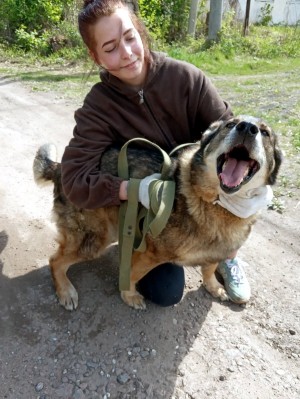 �����������