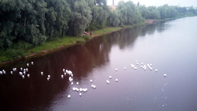 �����������