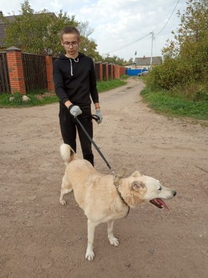 �����������