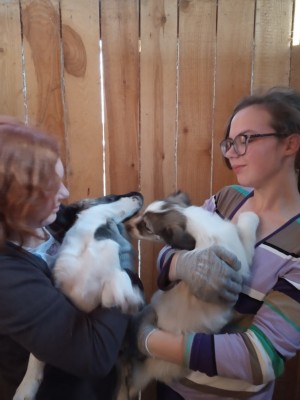 �����������