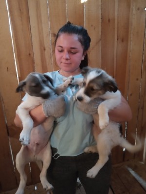 �����������