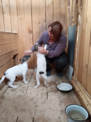 �����������