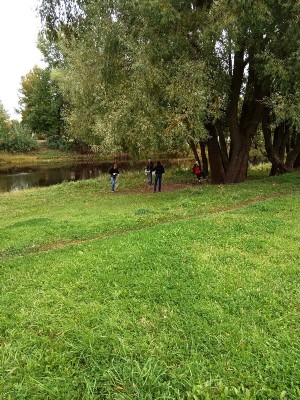 Изображение Изображение