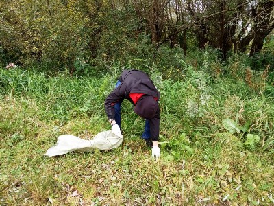 Изображение Изображение