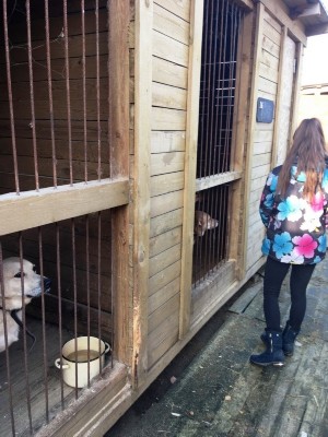 �����������