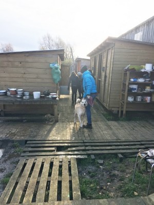 �����������