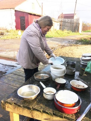 �����������