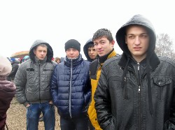 �����������