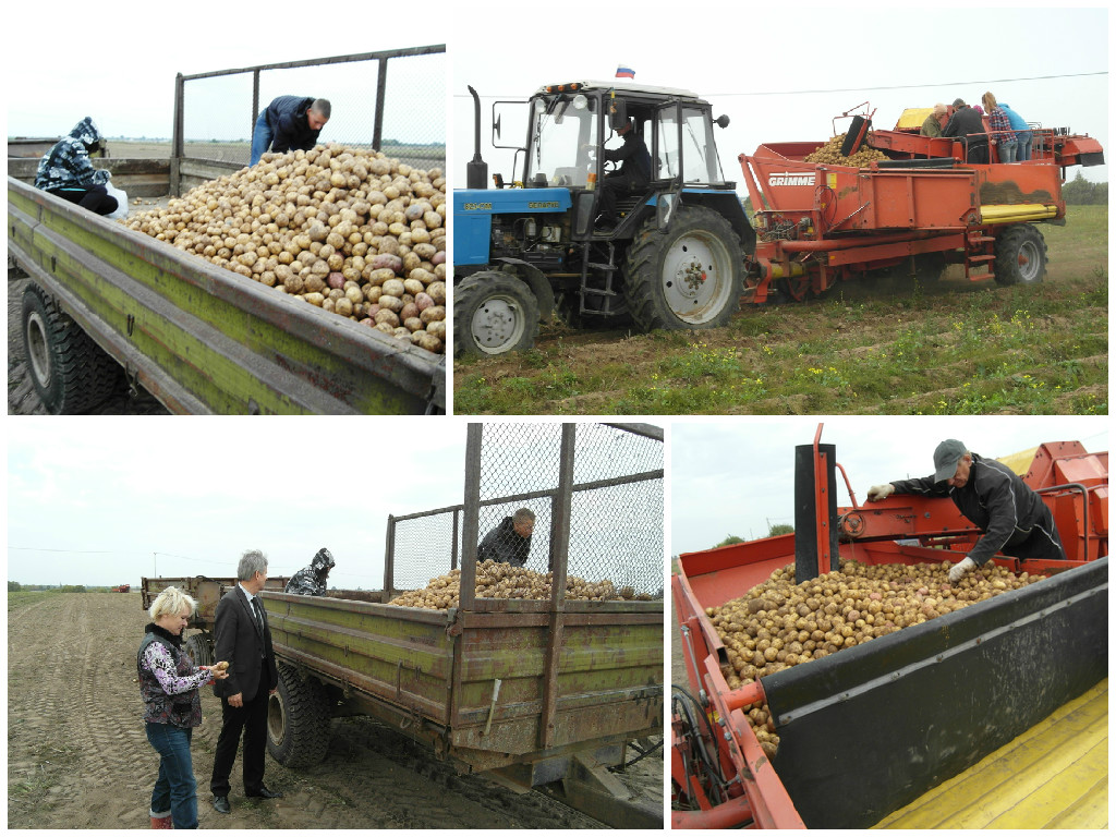 Изображение Изображение