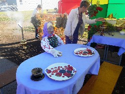 �����������