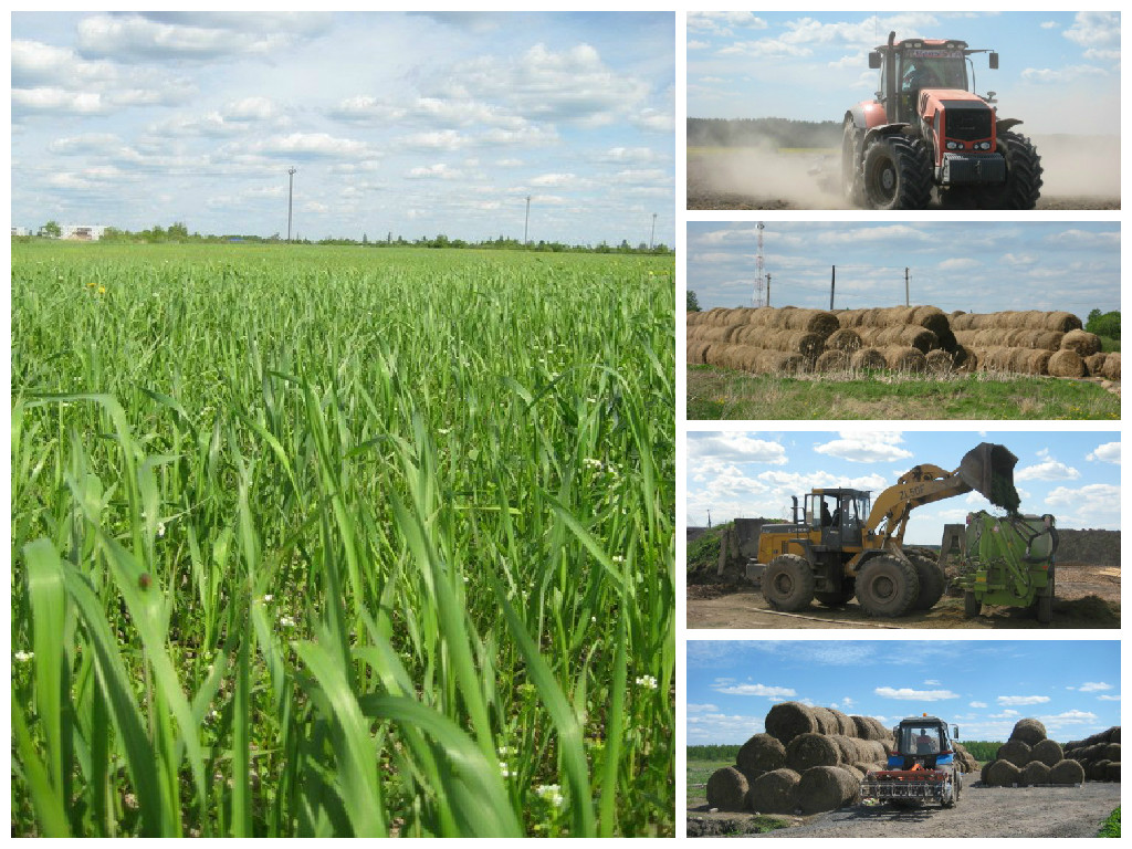 Изображение Изображение