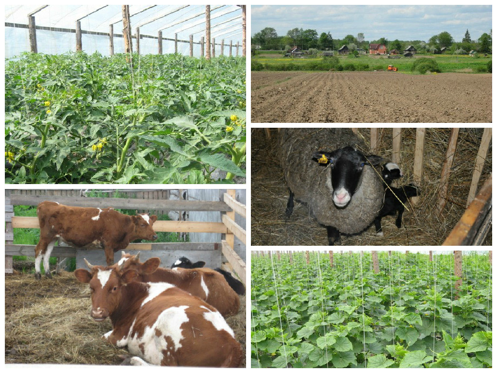 Изображение Изображение