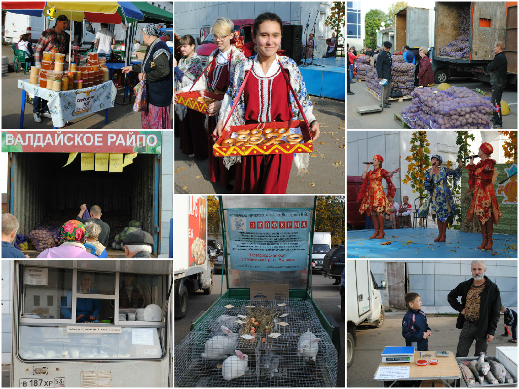 �����������