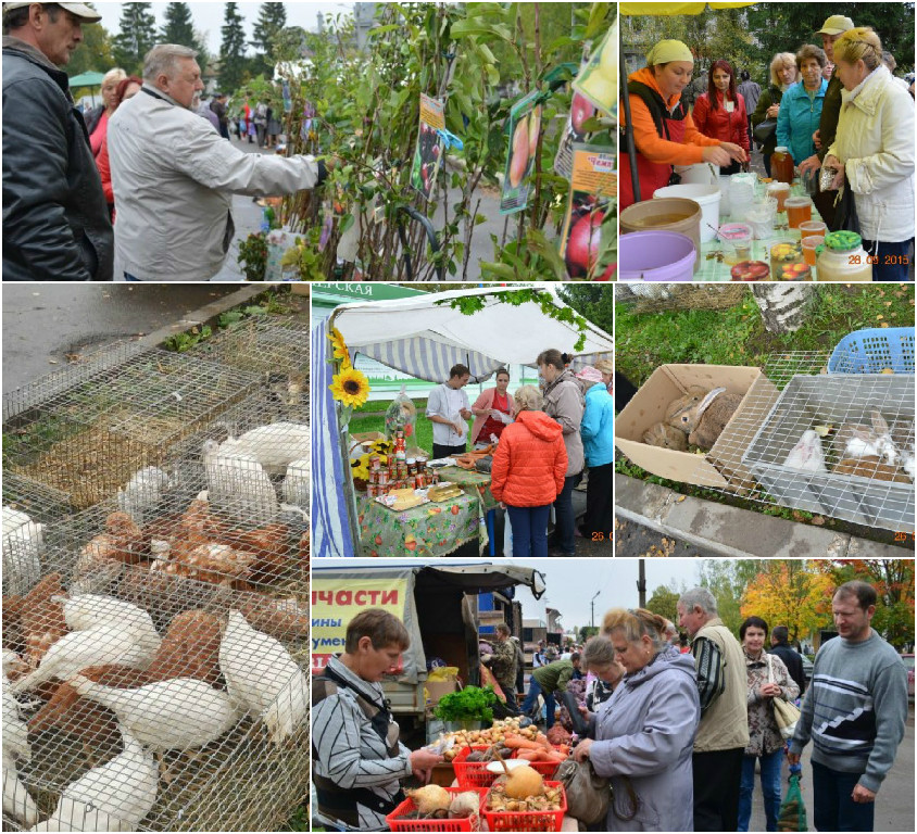 �����������