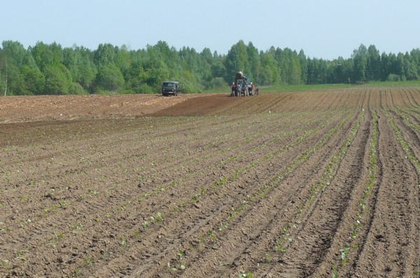 Изображение Изображение