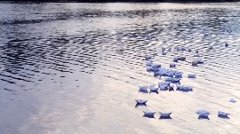 Изображение Изображение