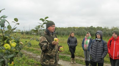 �����������