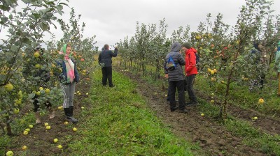 �����������