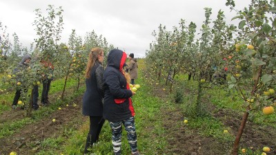 �����������