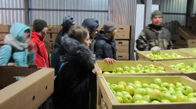 �����������