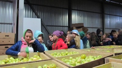 �����������